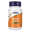 Kép 1/2 - Intestinal Bacteria Support (60 kapszula)