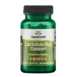 Kép 1/2 - Lactobacillus Gasseri 3 Billion CFU (60 kapszula)