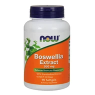 Boswellia Extract 500 mg (90 lágykapszula) - Tömjénfa Kivonat