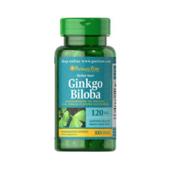 GINKGO BILOBA STANDARDIZED EXTRACT 120 mg (100 kapszula)