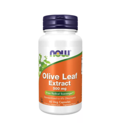 OLIVE LEAF EXTRACT 500 MG